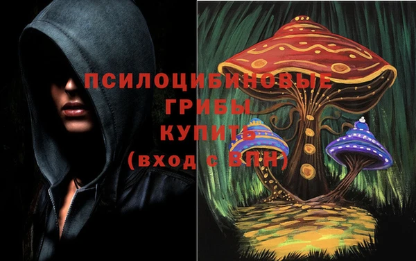 шишки Елабуга