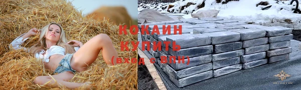 шишки Елабуга