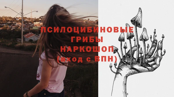 шишки Елабуга