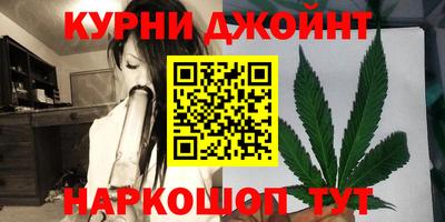 PSILOCYBIN Гатчина