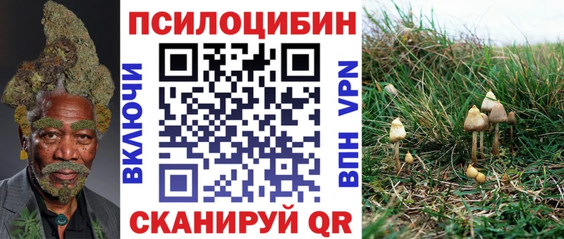 Галлюциногенные грибы MAGIC MUSHROOMS  Краснодар 