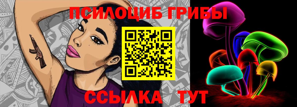 Россия  Псилоцибиновые грибы Cubensis  Вход с VPN 